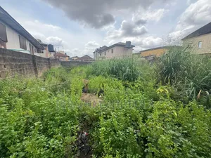 300sqm Empty Land for Sale, Iju Road, Lagos