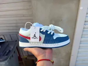 Nike SB Low Unisex Sneakers - Brand New