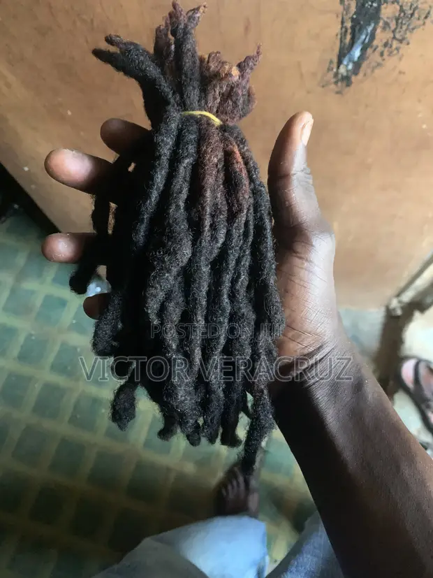 Human Hair Dreadlocs - Natural, Tinted Tip - 1