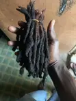 Human Hair Dreadlocs - Natural, Tinted Tip - 1