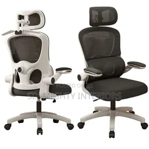 Ergonomic Home & Office Chair Mai Flip Armrest & Lumbar Support