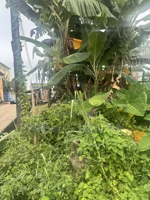 Kasa Mai Kyau (Dry Table Land) A Sayarwa - Port Harcourt