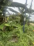 Kasa Mai Kyau (Dry Table Land) A Sayarwa - Port Harcourt - 3