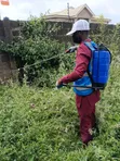 Magungunan Kwari da Ciyawa - 3