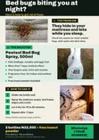 Pestsol Bedbug Insecticide - 5