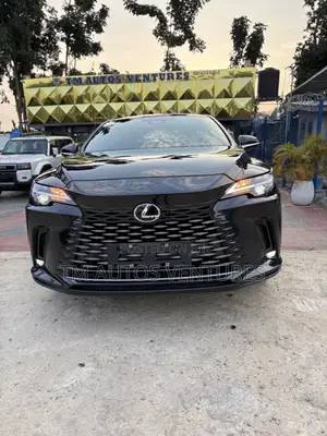 Sabo Lexus UX 2025 Baƙi