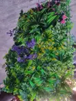 Wall Flower Mat 40x60 - 2