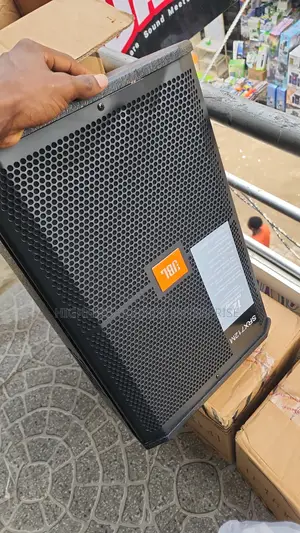 12-Inch JBL Wall Speaker