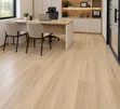 Stone Plastic Composite (SPC) Flooring - 1