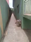Makarantar Siyarwa a Ifo - 4