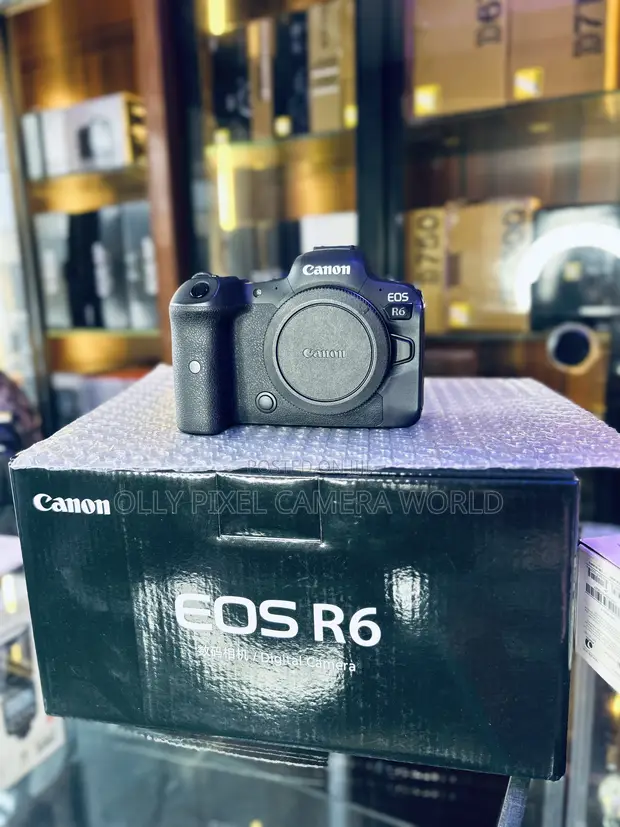 Canon EOS R6 Full-Frame Mirrorless Camera - 1