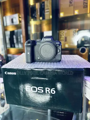 Canon EOS R6 Full-Frame Mirrorless Camera