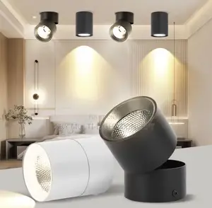 LED Downlight - 3 Color Foldable Spotlight