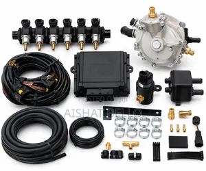 6-Plug CNG Conversion Kit for Vehicles