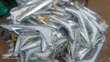 Brand New Front Bumper Spoiler Light for Toyota Prado - 1