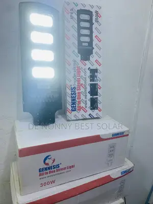 300W Solar Street Light with 2-Year Warranty
