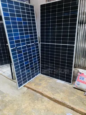 LONGi 650W Bifacial Solar Panel