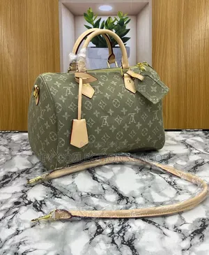 Louis Vuitton Classic Luxury Handbag