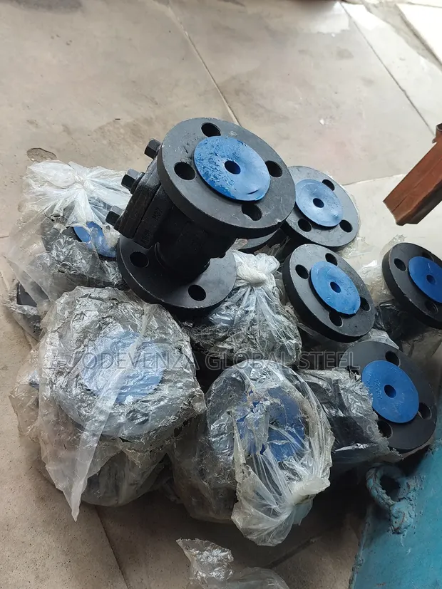 Steam Non-Return Valve (NRV) - 1