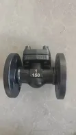 Steam Non-Return Valve (NRV) - 2