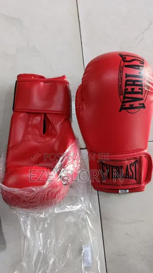 Everlast Boxing Gloves