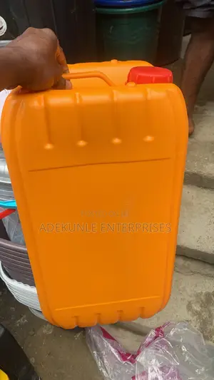 25L Storage Containers (Set of Several)