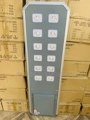 100W Solar Street Light - 12eyes