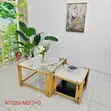 Brand New 2-in-1 Center Table - 2