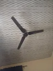 OX Ceiling Fan - 1