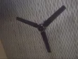 OX Ceiling Fan - 2