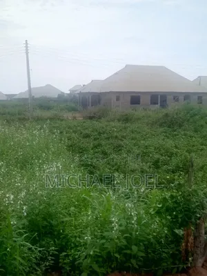 100ft x 100ft Flat Residential Land for Sale, Auchi