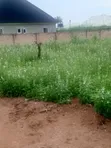Filin 100ft x 100ft Mai Dama don Siyarwa, Auchi - 2