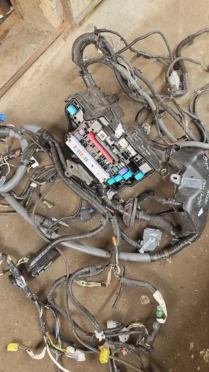 2016-2023 Lexus RX 350 Fuse Box & Engine Wire