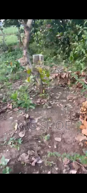 Residential Land for Sale in Bwari - 900 sqm