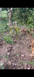Residential Land for Sale in Bwari - 900 sqm - 1