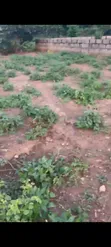 Residential Land for Sale in Bwari - 900 sqm - 2