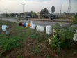 Brand New Flower Pots - 1