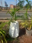 Brand New Flower Pots - 4