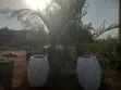 Brand New Flower Pots - 5