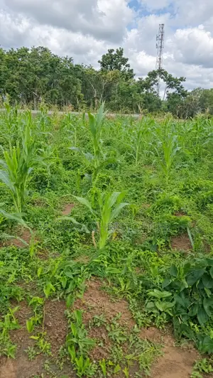 1000sqm Residential Land for Sale in Galadimawa