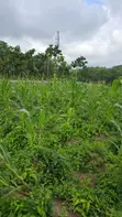 Filin Zama na 1000sqm don Siyarwa a Galadimawa - 2