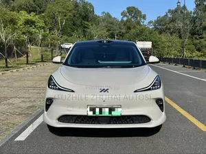 2025 Off-White Foreign Used Car