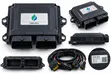 CNG Conversion ECU for Compatible Gas Systems - 1