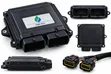CNG Conversion ECU for Compatible Gas Systems - 2