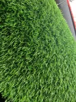 20mm Artificial Grass - Green - 1