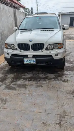 BMW X5 2006 Fari