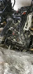 Complete 3.0 Diesel Engine - Refurbished VW - 4