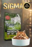 Sigma Cat Food - Chicken Granules - 2