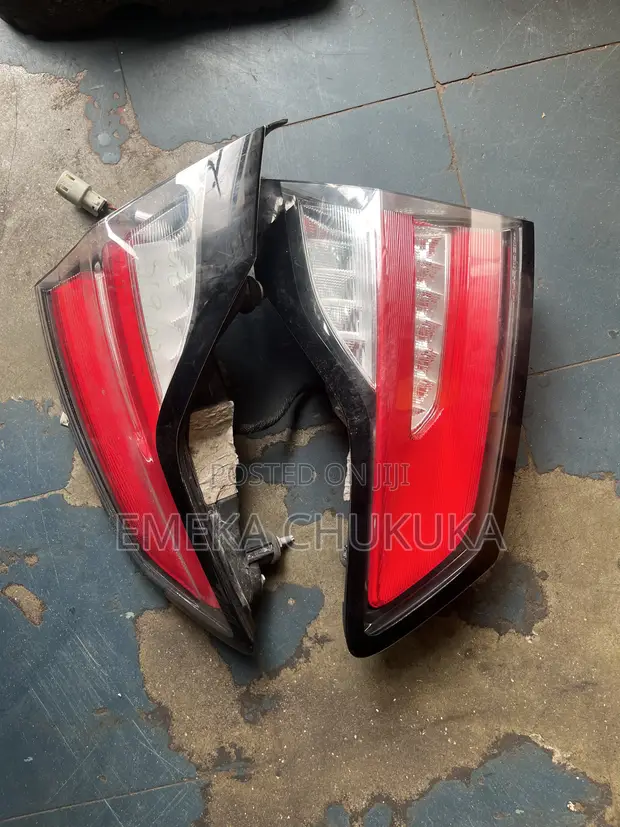 Boot Light Edge 2020 - 1