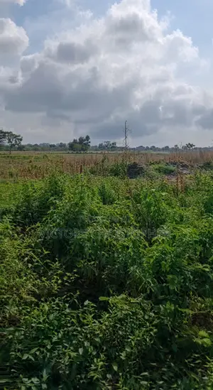 Filin Hekta 6.43 Mai Amfani Daban-daban a Kabusa, Abuja